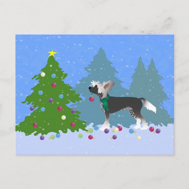 Chinese Crested Decorating a Christmas Tree Holiday Postcard (Front)