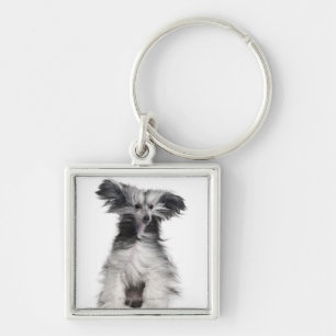 Chinese Crested Dog (15 months old) in the wind Keychain