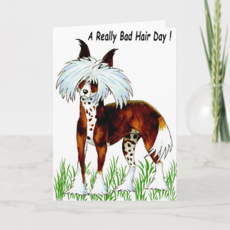 Chinese Crested Dog, Bad Hair Day Card