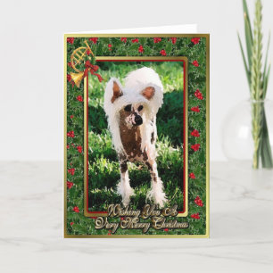 Chinese Crested Dog Blank Christmas Card