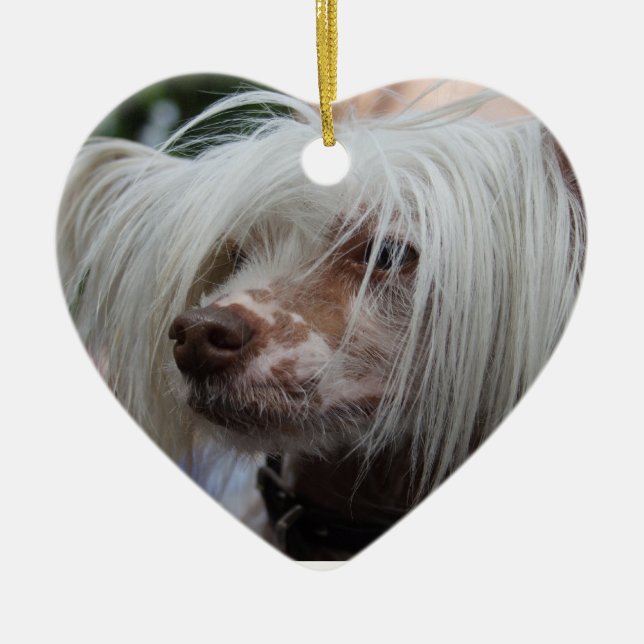 Chinese Crested Dog Ceramic Ornament (Front)