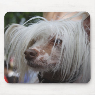 Chinese Crested Dog Mouse Pad