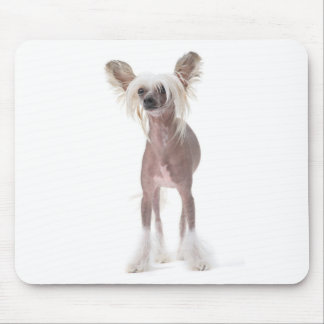 Chinese Crested Dog Mouspad Mouse Pad