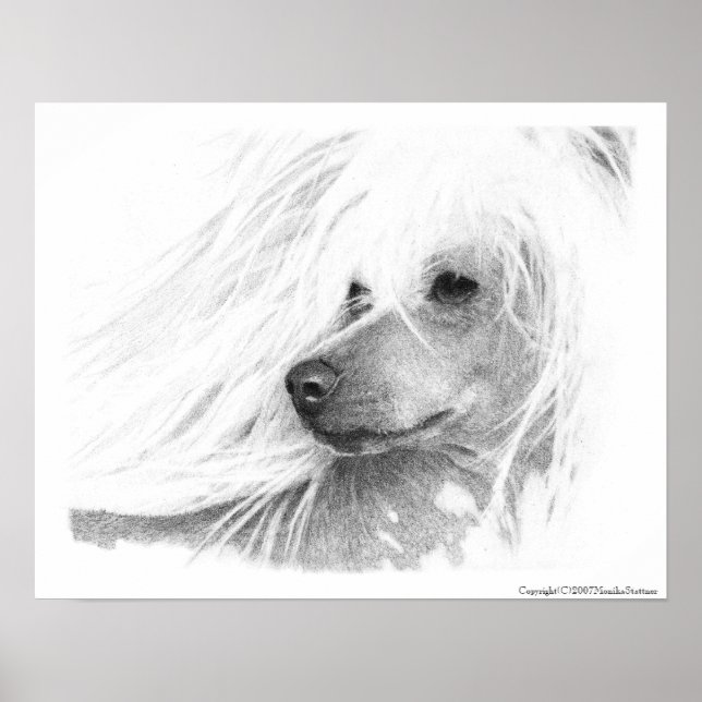 Chinese Crested Dog Poster (Front)