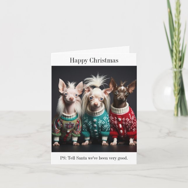 Chinese Crested Dog Puppies Christmas Card (Front)