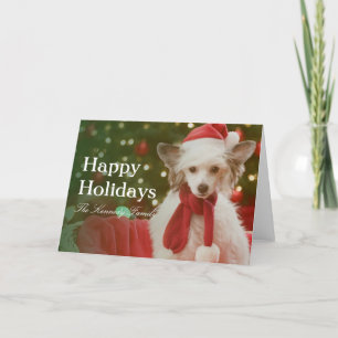 Chinese Crested Dog sitting in decorated basket Holiday Card