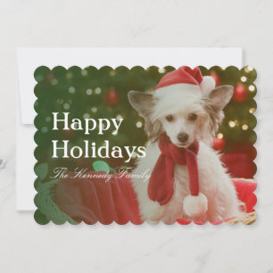 Chinese Crested Dog sitting in decorated basket Holiday Card