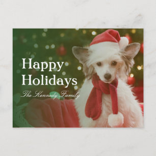 Chinese Crested Dog sitting in decorated basket Holiday Postcard