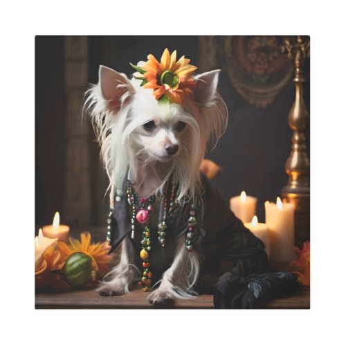 Chinese Crested Dressed like Day of the Dead Metal Print