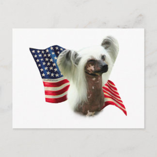 Chinese Crested Flag Postcard