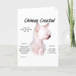 Chinese Crested (hairless) History Design Holiday Card