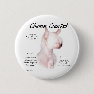 Chinese Crested (hairless) History Design Pinback Button