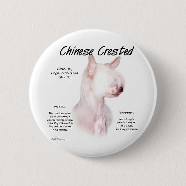 Chinese Crested (hairless) History Design Pinback Button (Front)