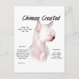 Chinese Crested (hairless) History Design Postcard