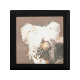 Chinese Crested Hairless Painting Original Dog Art Gift Box