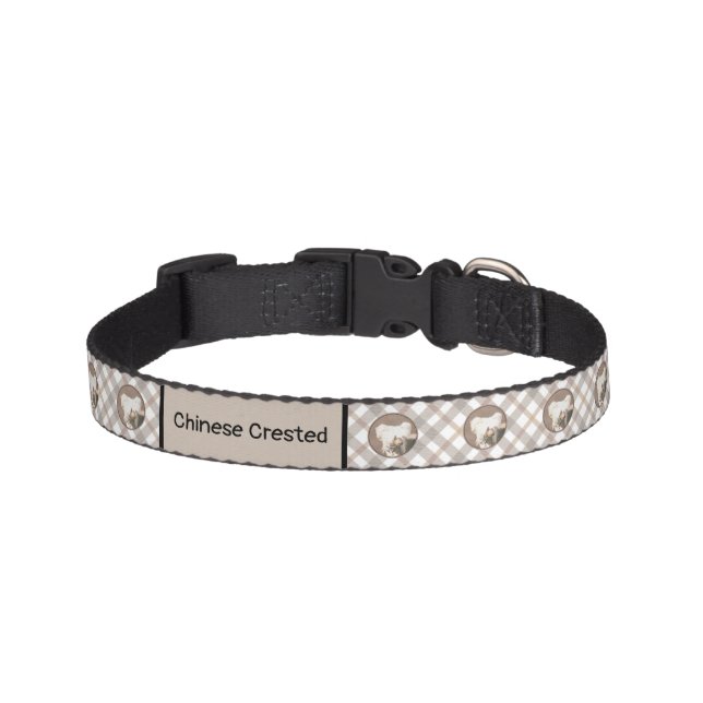 Chinese Crested Hairless Painting Original Dog Art Pet Collar (Front)