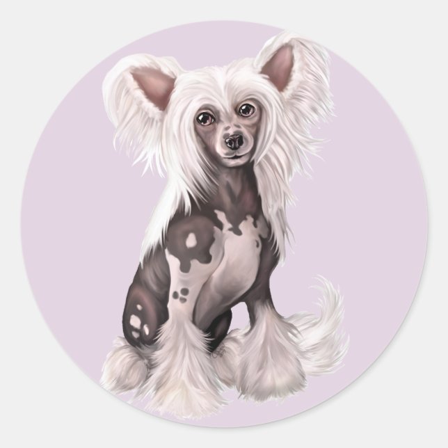 Chinese Crested Hairless Sit Classic Round Sticker (Front)
