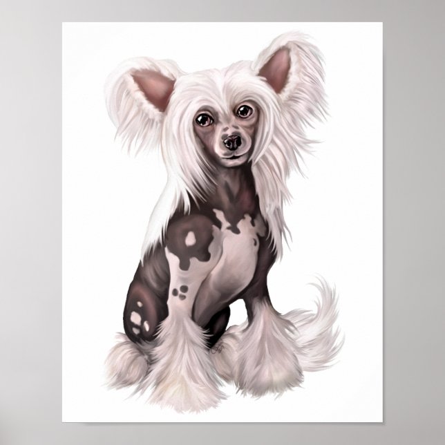 Chinese Crested Hairless Sit Poster (Front)