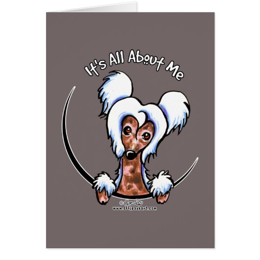 Chinese Crested IAAM Cards (Front)