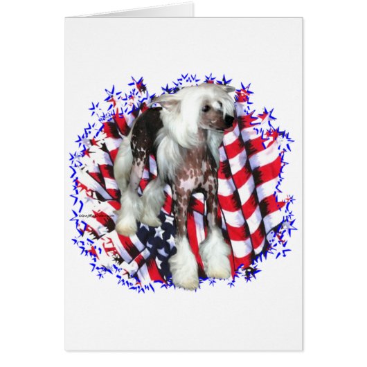 Chinese Crested Patriot Cards (Front)