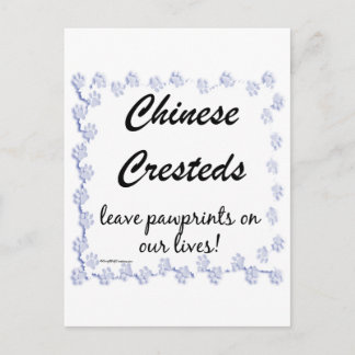 Chinese Crested Pawprints Postcard
