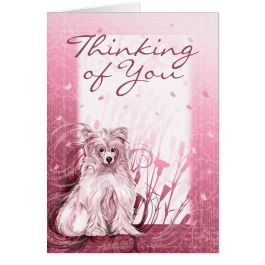 Chinese Crested Pink Cards (Front)
