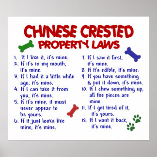 CHINESE CRESTED PL2 POSTER