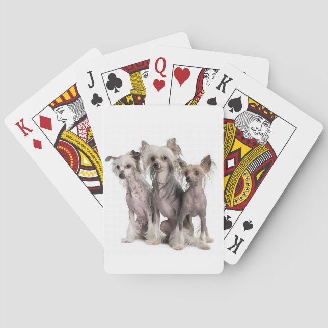Chinese Crested Poker Cards (Back)