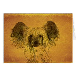 Chinese Crested portrait Cards