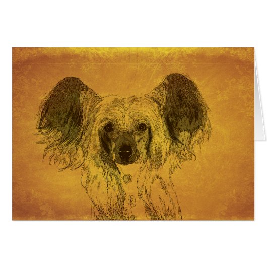 Chinese Crested portrait Cards (Front Horizontal)