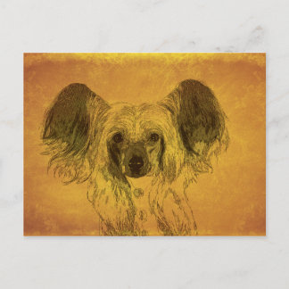 Chinese Crested portrait, yellow Postcard