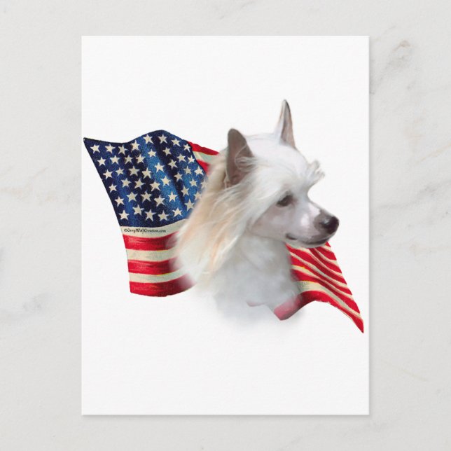 Chinese Crested (powder) Flag Postcard (Front)