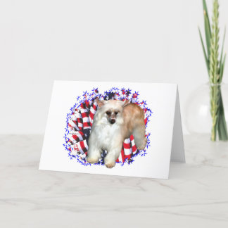 Chinese Crested (powder) Patriot Card