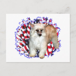 Chinese Crested (powder) Patriot Postcard