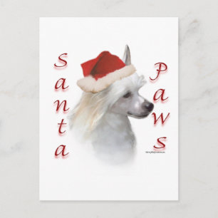 Chinese Crested (powder) Santa Paws Holiday Postcard