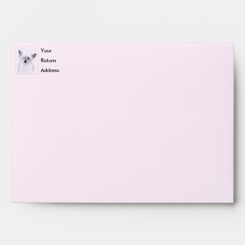 Chinese Crested Powderpuff Painting _ Dog Art Envelope