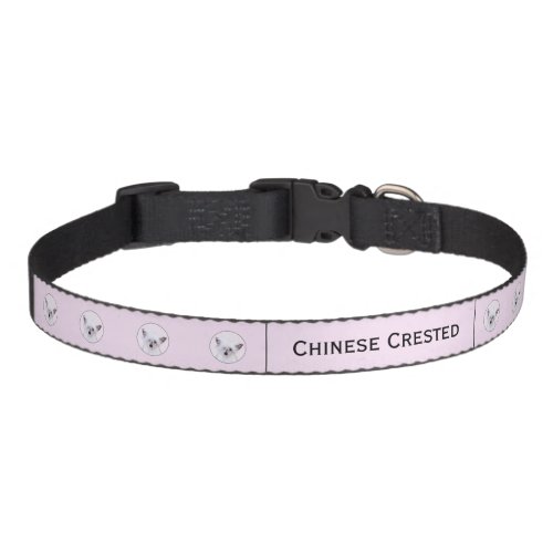 Chinese Crested Powderpuff Painting _ Dog Art Pet  Pet Collar