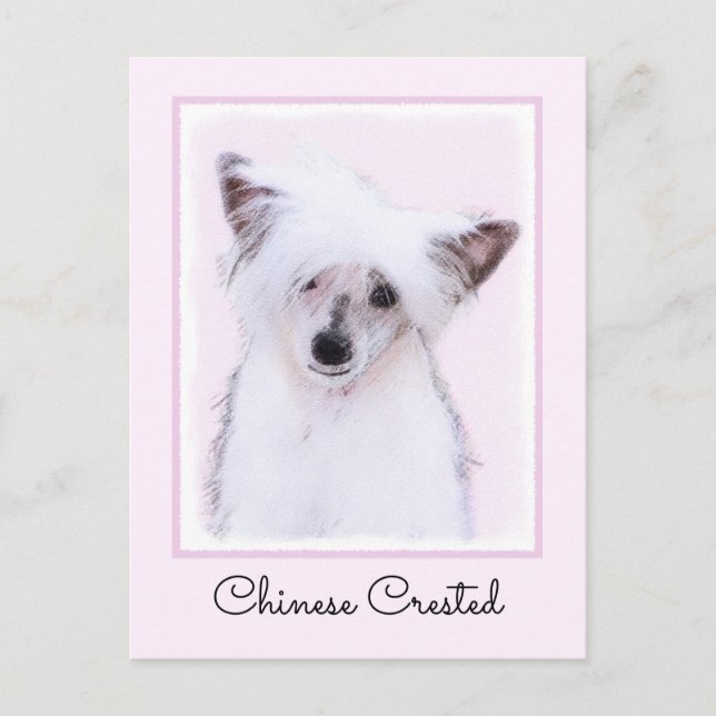 Chinese Crested Powderpuff Painting - Dog Art Postcard (Front)