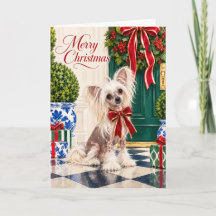 Chinese Crested Red Bow Christmas Card