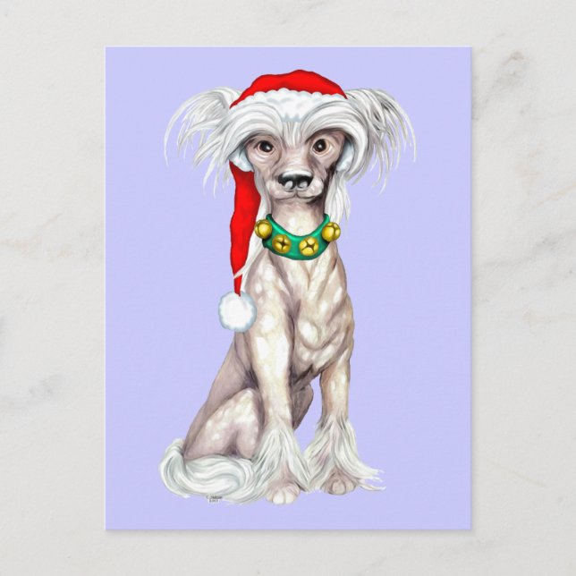 Chinese Crested Santa Holiday Postcard (Front)