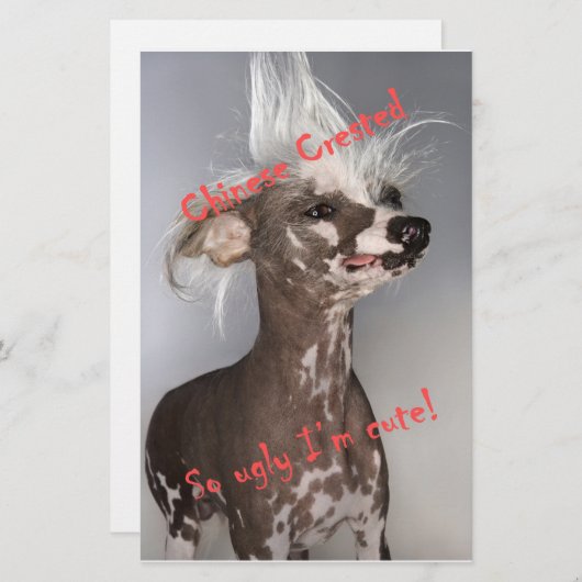 Chinese Crested So Ugly I'm Cute (Front/Back)