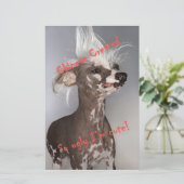 Chinese Crested So Ugly I'm Cute (Standing Front)