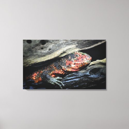 Chinese Crocodile Lizard Canvas Print