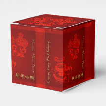 Chinese custom New Year Children dragon CC Favor B