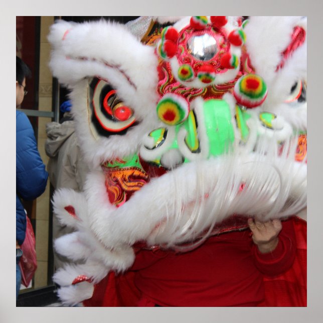 Chinese Dragon in Philadelphia Poster (Front)