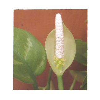 Chinese Evergreen Flower Notepad