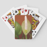 Chinese Evergreen Flower Poker Cards