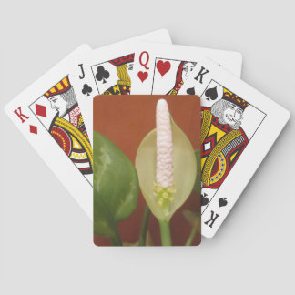 Chinese Evergreen Flower Poker Cards