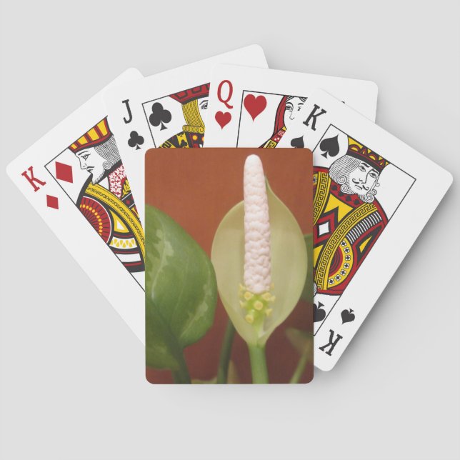 Chinese Evergreen Flower Poker Cards (Back)