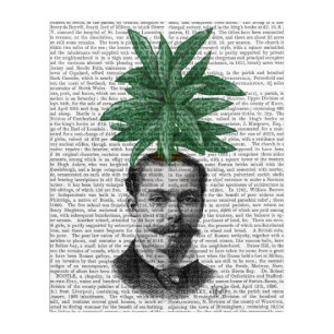 Chinese Evergreen Head Plant Head Acrylic Print